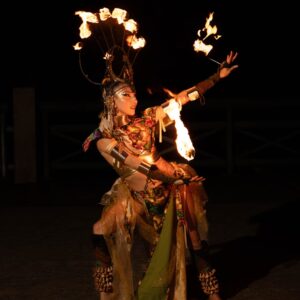🔥 Professional Fire Show – Live Fire Performance for Events